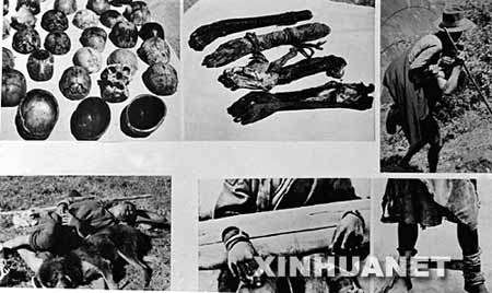 Jeta mizore e bujkrobërve në Tibet të vjetër(Xinhua)