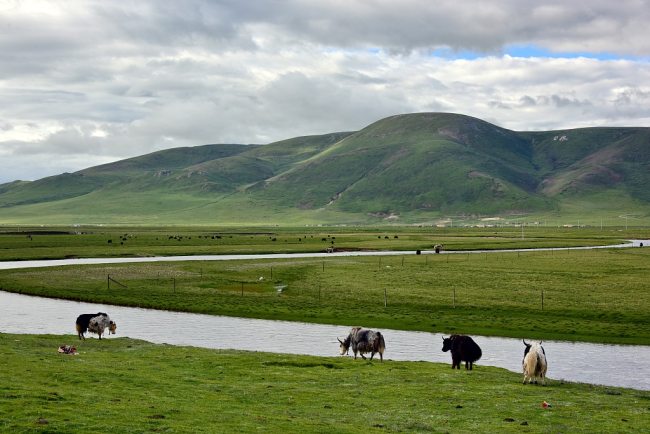 Vendburimi i lumit Jance, rrafshnaltë Qinghai-Tibet(VCG)