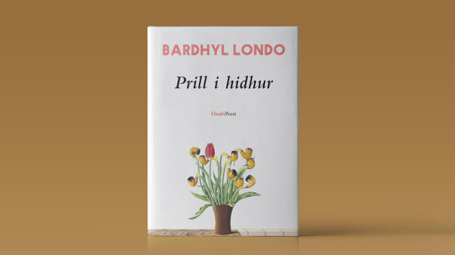 Kopertina e njerit prej librave te Bardhyl Londos - Foto nga exlibris.al