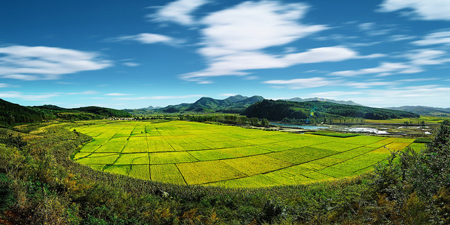 Fazat stinore të pranverës