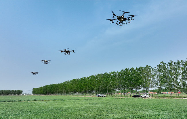 Dronët spërkatin pesticid, Lianyungang, provincë Jiangsu, 28 prill(Foto:VCG)