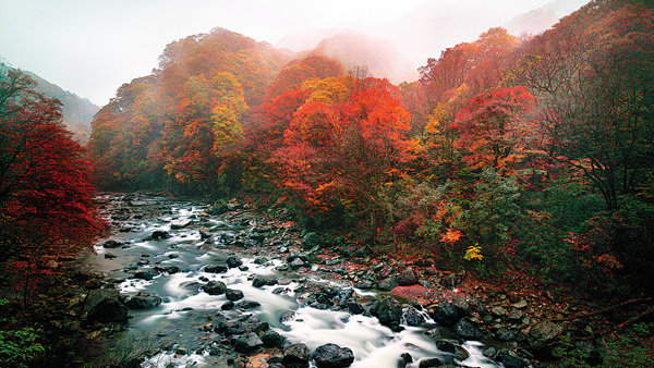 Hory Guangwu jsou pokryty lesy o rozloze 680 čtverečních kilometrů, které zobrazují barevné spektrum. [Fotografii poskytl Deník China Daily]