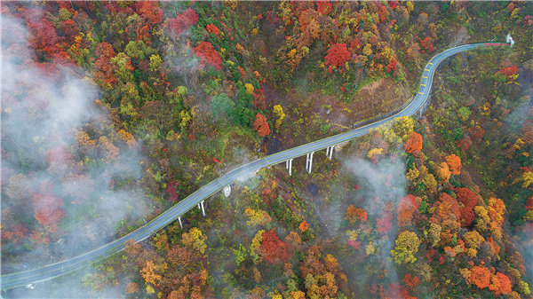 Lesní oblast Shennongjia je známá svým úžasným výhledem na moře mraků a podzimní scenérií barevných listů. [Fotografie: Xu Lin / deník China Daily]