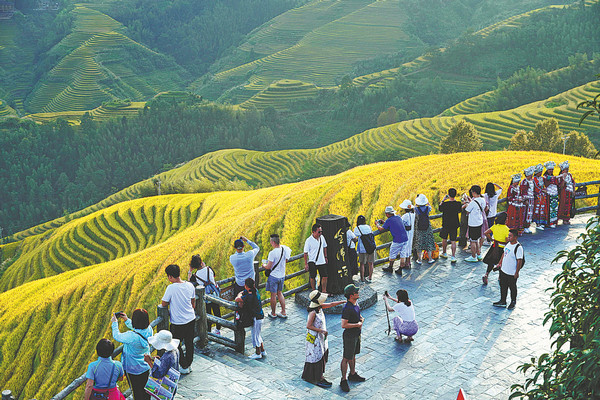 Turisté si prohlíží terasové pole v okresu Longsheng (Lung-šeng) v autonomní oblasti Guangxi (Kuang-si) etnické menšiny Zhuang (Čuang). Fotografie: deník China Daily
