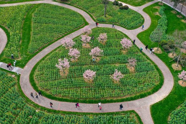 Photo montrant le paysage d'un jardin botanique à Ningbo, dans la province du Zhejiang (est de la Chine), le 10 mars 2022.