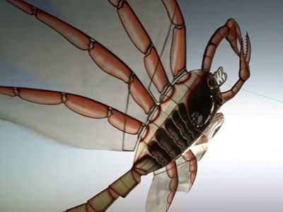 Dynamischer Drachen von Zhang TianweiFoto von CGTN