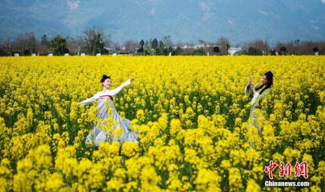 Η φωτογραφία δείχνει δύο νεαρές γυναίκες να φορούν χάνφου, τις παραδοσιακές κινέζικες φορεσιές και να βγάζουν φωτογραφίες σε ένα χωράφι με λουλούδια ελαιοκράμβης στη Χονγκγιά της επαρχίας Σετσουάν της νοτιοδυτικής Κίνας, 1 Μαρτίου 2022. (Φωτογραφία: China News Service)