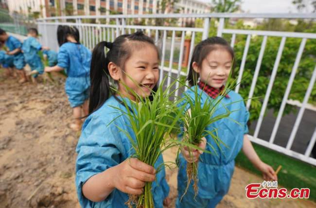 Τα παιδιά μαθαίνουν να μεταμοσχεύουν δενδρύλλια ρυζιού σε ένα νηπιαγωγείο στο Σινγιού Xinyu, στην επαρχία Τζιανγκσί της ανατολικής Κίνας, 14 Απριλίου 2022. (Φωτογραφία: China News Service)
