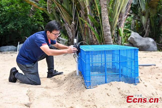 Ένα μέλος του προσωπικού ελέγχει τον εξοπλισμό παρακολούθησης σε μια τεχνητή παραλία στο Εθνικό Φυσικό Καταφύγιο Θαλάσσιας Χελώνας του Χουιντόνγκ στην επαρχία Γκουανγκντόνγκ της νότιας Κίνας, 18 Μαΐου 2022. (Φωτογραφία: China News Service) 
