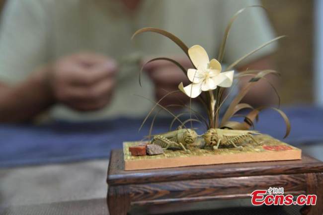 Ψάθινοι γρύλοι φτιαγμένοι από τον Χαν Λιουγιέ στο Σιτζιατζουάνγκ της επαρχίας Χεμπέι της βόρειας Κίνας, 11 Ιουλίου 2022. (Φωτογραφία: China News Service)