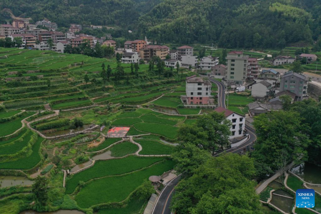 Σε αυτήν την αεροφωτογραφία, από τις 18 Ιουλίου μια προστατευόμενη περιοχή συγκαλλιέργειας ρυζιού-ψαριού στην επαρχία Τσινγκτιέν, στην επαρχία Τζετζιάνγκ της ανατολικής Κίνας.