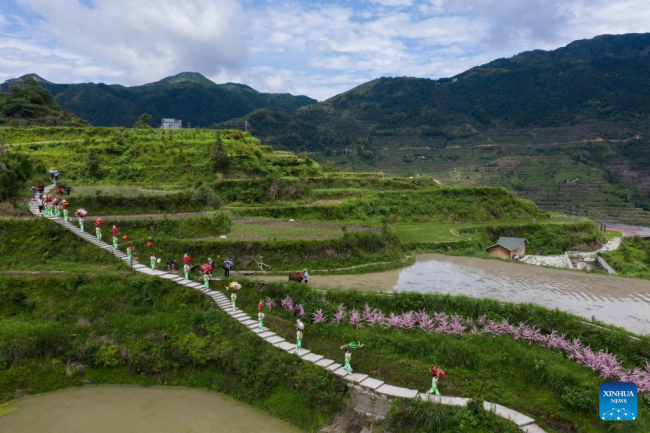 Σε αυτήν την αεροφωτογραφία, οι χωρικοί γιορτάζουν με παραδοσιακές φορεσιές καθώς αρχίζουν να οργώνουν και να απελευθερώνουν γόνο ψαριών σε ορυζώνες στην πόλη Σιαοτζοουσάν, στην επαρχία Τσινγκτιέν, στην επαρχία Τζετζιάνγκ της ανατολικής Κίνας, 11 Ιουνίου 2020.