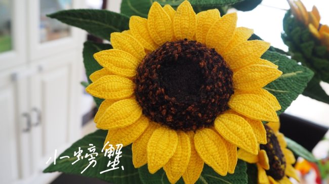 Μια σειρά από πλεκτά λουλούδια σε γλάστρες, φτιαγμένα από μια νοικοκυρά στο Τσονγκκίνγκ, έγινε πρόσφατα viral. [Η φωτογραφία παρέχεται στο chinadaily.com.cn]