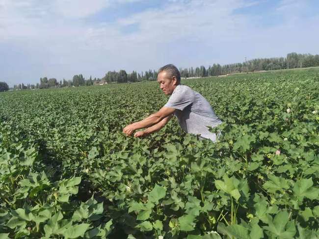 Iubirea aduce o forță inepuizabilă. Povestea unei familii de fermieri din Usu Iubirea aduce o forță inepuizabilă. Povestea unei familii de fermieri din Usu