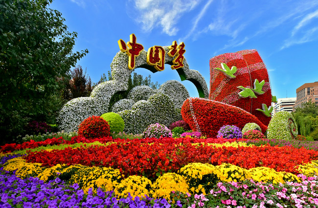 Ornamente florale de Ziua Națională