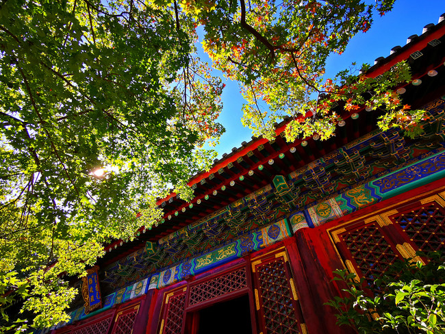 Instantanee de toamnă în Colina Parfumată