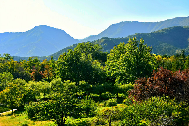 Toamna, la Grădina Botanică Beijing