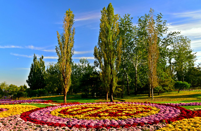 Toamna, la Grădina Botanică Beijing