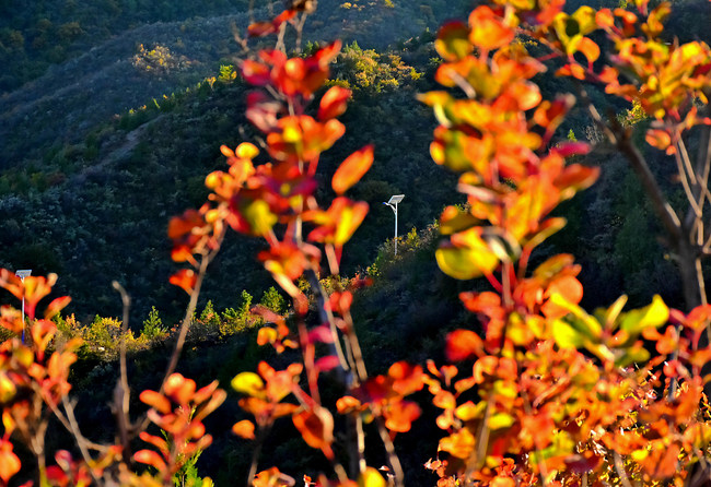 Satul Xidamo, îmbrățișat de culorile toamnei