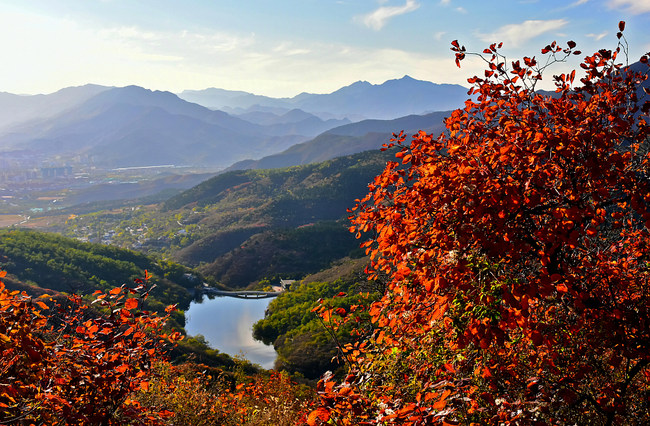 Muntele Xishan, îmbrăcat în frunze roșii