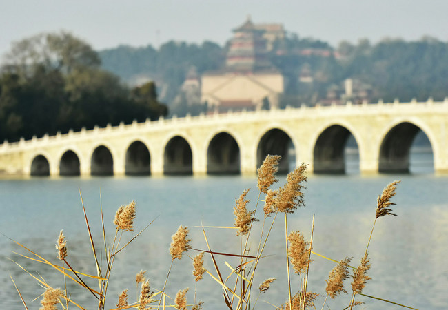 Plimbare la Palatul de Vară, la începutul iernii