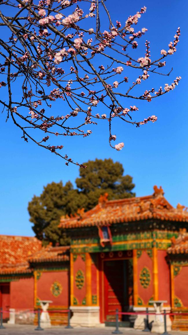 Tri mesta za uživanje u proleću i drevnoj arhitekturi u Pekingu
