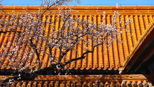 Tri mesta za uživanje u proleću i drevnoj arhitekturi u Pekingu