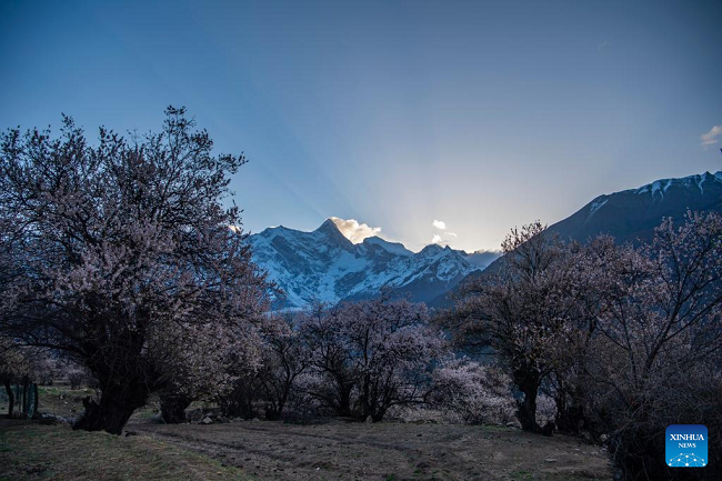 Očaravajuća planina Namjagbarva u Njingčiju