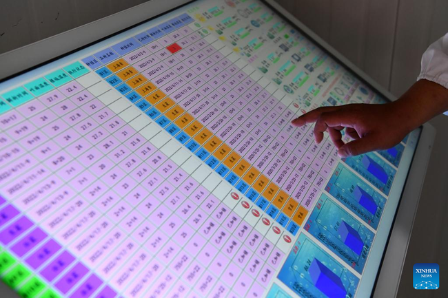Unutar pametnog staklenika u provinciji Anhui na istoku Kine