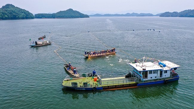 Ogromna mreža za ribolov u Hangdžouu