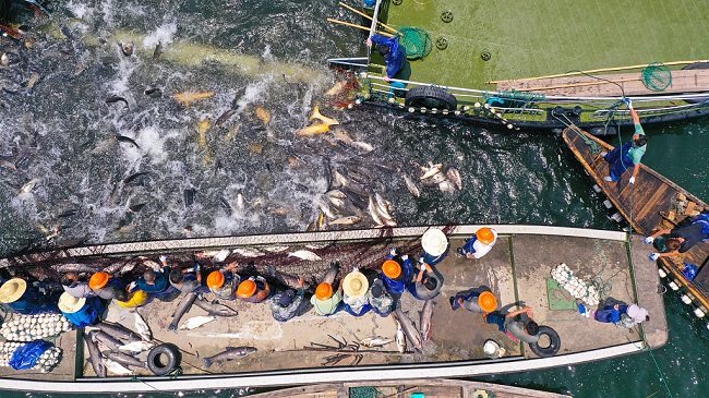 Ogromna mreža za ribolov u Hangdžouu