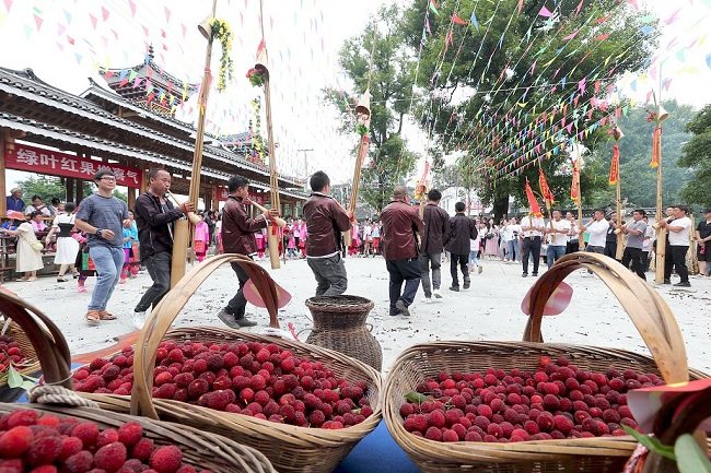 Festival planinske breskve u Guidžouu