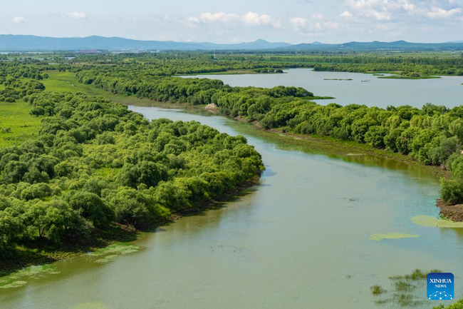 Državni močvarni park u Heilungđijangu